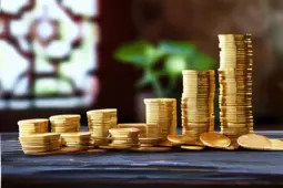 打造私域流量，实现从赚小钱到稳定盈利的蜕变