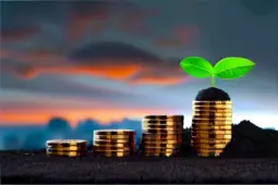 掌握流量的艺术，从赚小钱到稳定盈利的秘诀