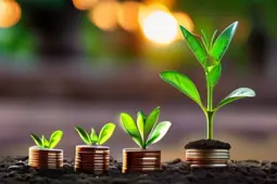 收益优化，从赚小钱到稳定盈利的秘诀