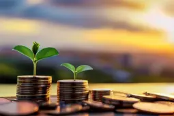 解锁副业与理财新境界，意外险如何成为你财富增长的加速器