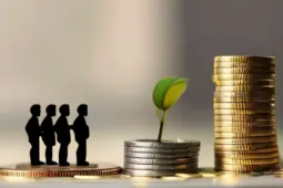 揭秘副业与理财中的常见骗局，如何识别并保护你的财富安全