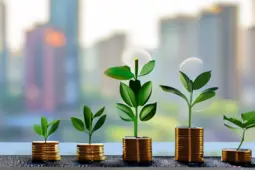 私域社群运营，从赚小钱到稳定盈利的秘诀