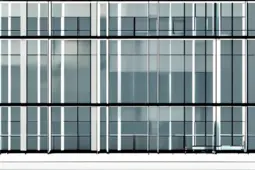 打造得体职业气质，职场文明的礼仪指南