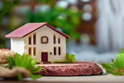 家教副业，开启你的财富增长之旅