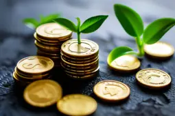 从赚小钱到稳定盈利，打造私域流量，实现多元变现