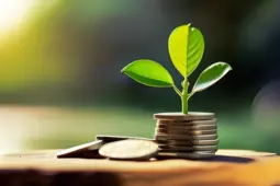 开启您的储蓄之旅，低门槛副业与全类型理财指南