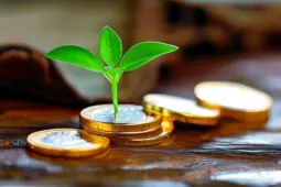 打造被动收入的黄金法则，从赚小钱到稳定盈利