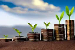 短视频运营，从赚小钱到稳定盈利的秘诀