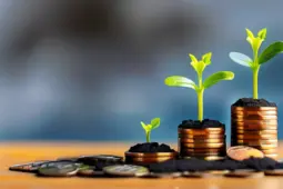 副业增收，从赚小钱到稳定盈利的秘诀