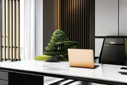 职场礼仪，打造和谐办公氛围的基石