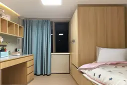 宿舍生活，95后00后学生党学业与职业起步的温馨港湾