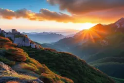 95后、00后青年的线上副业指南，微课创业实操与避坑攻略