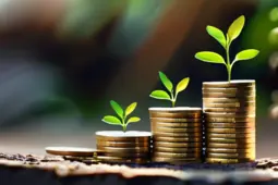 基金定投，开启你的财务自由之旅