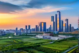 银发经济崛起，适老化App市场的发展脉络与未来趋势