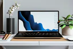 亚马逊店铺装修与运营策略，打造爆款，提升销量