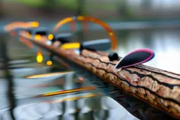 题，路亚消费行情，行业发展趋势与市场动态解析