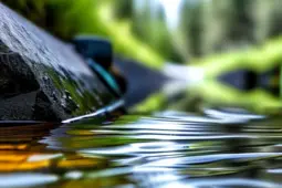 路亚自媒体，潮流与创新的交响曲