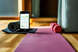瑜伽垫、弹力带与健身APP，打造高效健身之旅