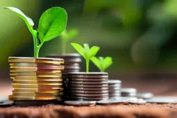 手把手教你从0到1启动项目，理财实操指南