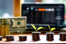 从零开始，手把手教你如何通过整合平台工具、账号定位和电商实操，从到1启动你的赚钱项目