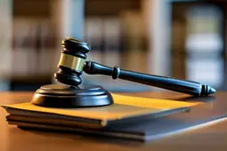 律师评优评先，青年律师的成长之路与专业技能提升攻略