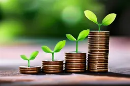 掌握定价优化技巧，实现从赚小钱到稳定盈利的跨越