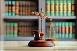 律师职业素养，塑造专业形象，迈向成功之路