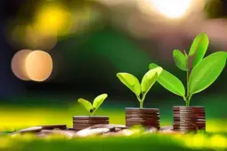 收益复投，从赚小钱到稳定盈利的秘诀