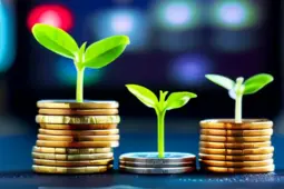 从赚小钱到稳定盈利，快速涨粉与私域运营的秘诀