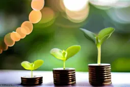 基金定投，开启你的理财之旅