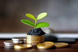 揭秘副业与理财中的常见骗局，保护你的财富安全