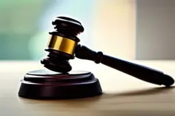 题，全面解读公益法律服务政策，为弱势群体提供法律援助的新篇章