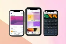 掌阅（适老版）App，让银发族享受智能生活新体验