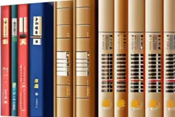 法考名师指导，全面攻略，助你顺利通过法律职业资格考试