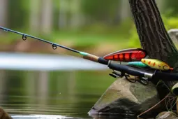 路亚亲子经济,户外垂钓新趋势与市场机遇