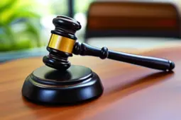 青年律师扶持政策，引领法律职业新未来