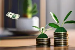 手把手教你从0到1启动项目，利用兼职猫平台工具，实现你的赚钱梦想