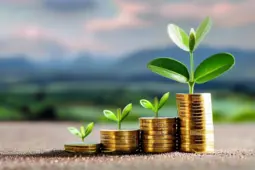 低风险理财入门指南，轻松开启您的财富增长之旅