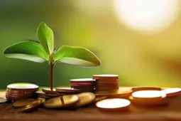 债券基金入门指南，新手友好的理财选择